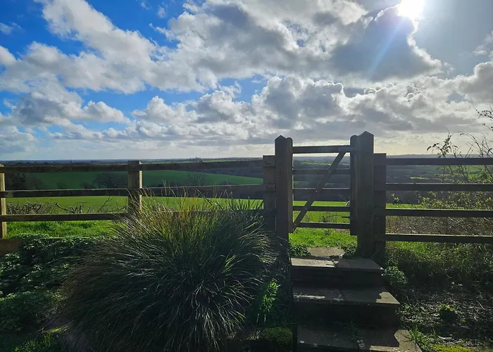 Meadow View