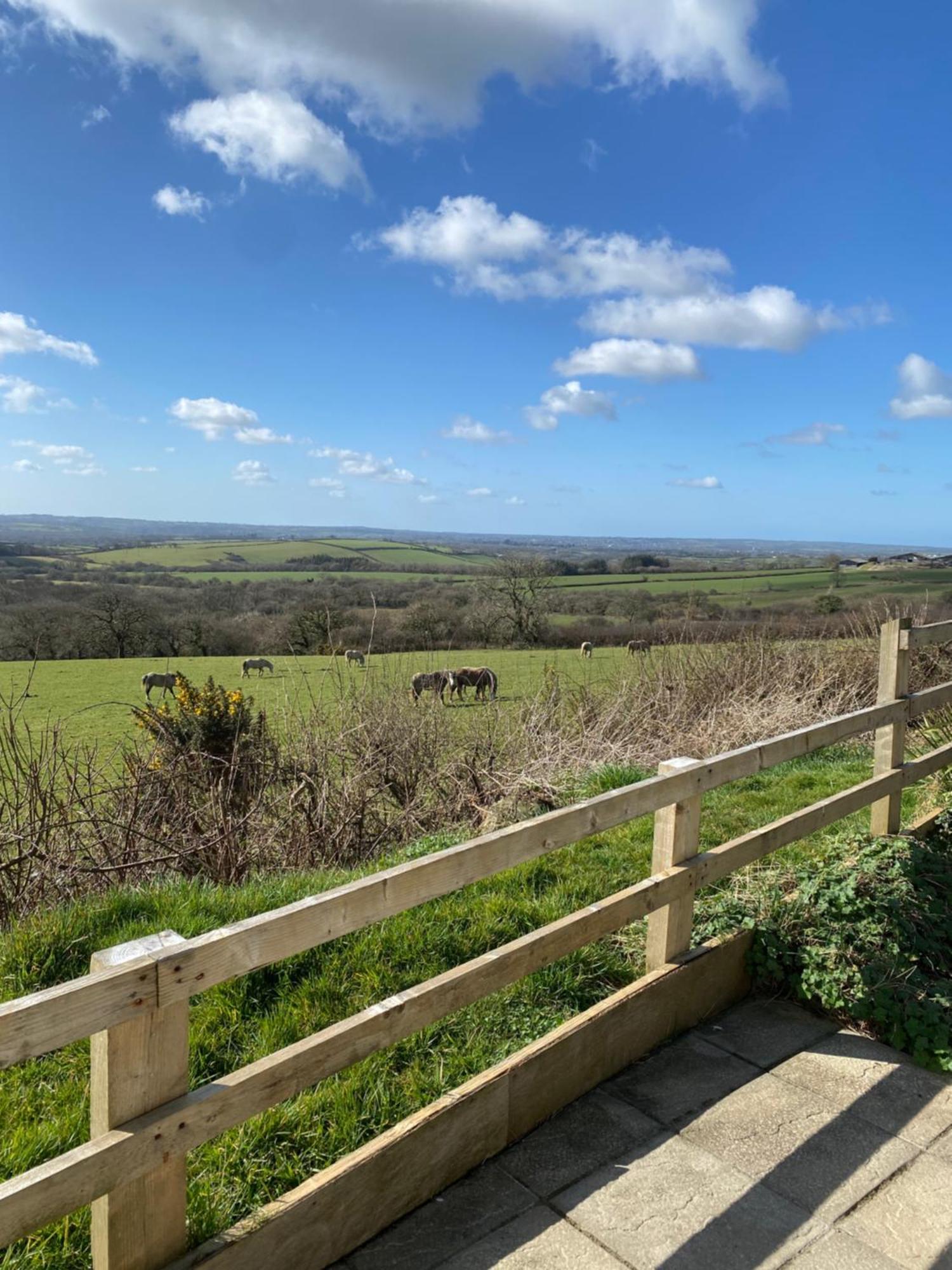 Meadow View Holiday home *